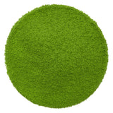 Ceremonial Matcha (Kochi)